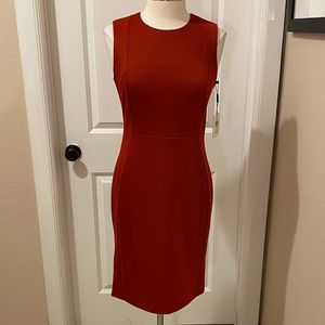 Calvin Klein NWT size 10 Red Sleeveless Dress